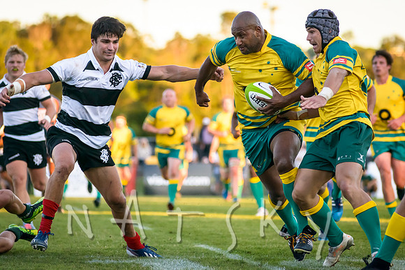 rugby 234