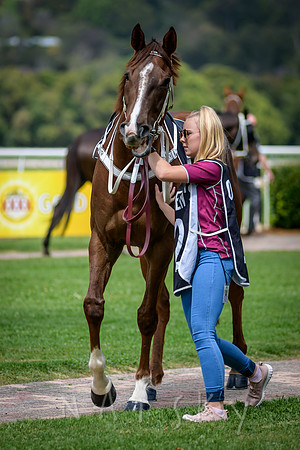 RACES 039