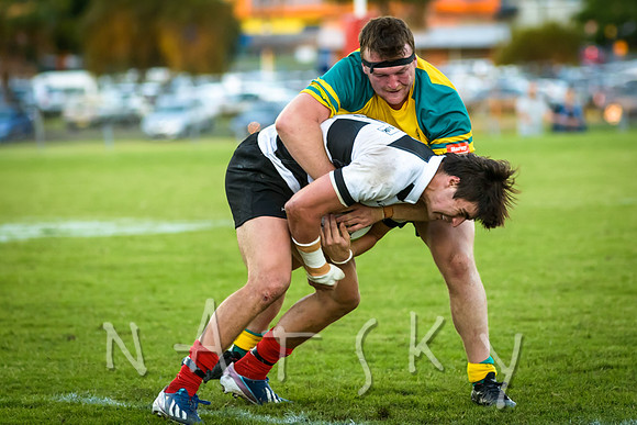rugby 258