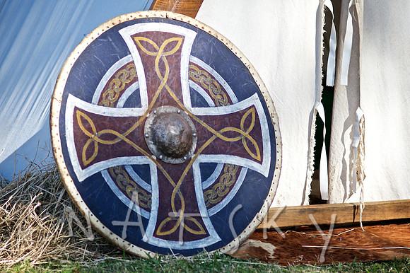 2015 VIKINGS  009