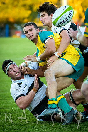 rugby 251