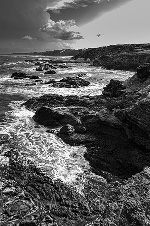 BROOMS HEAD
