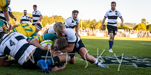 rugby 192