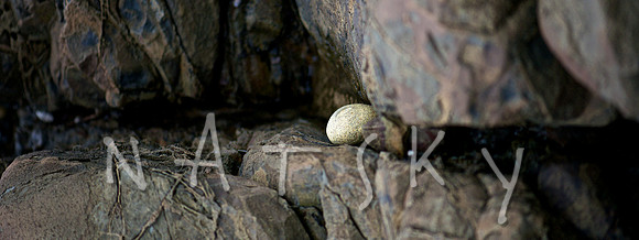 lismore photographer (19)