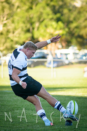 rugby 163