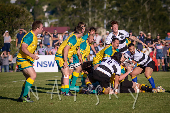 rugby 113