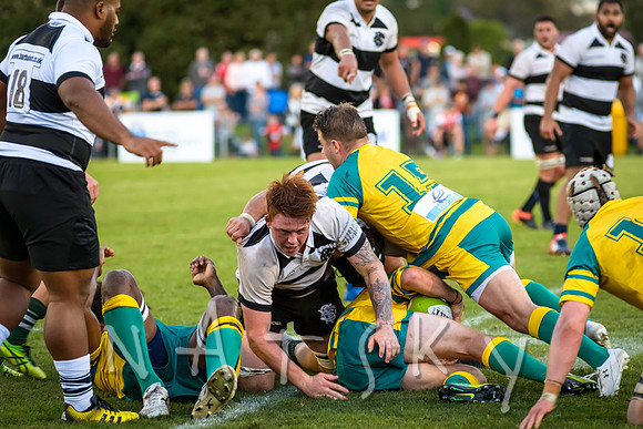 rugby 289