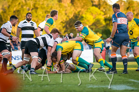 rugby 237