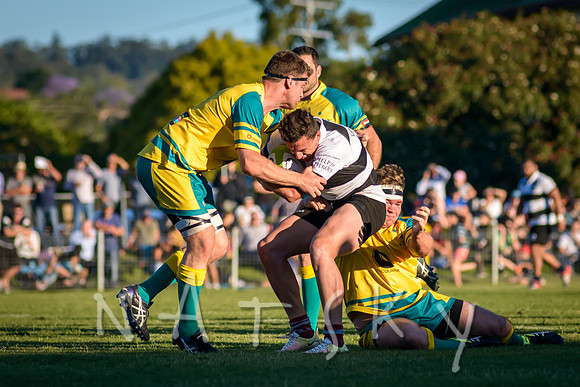 rugby 179