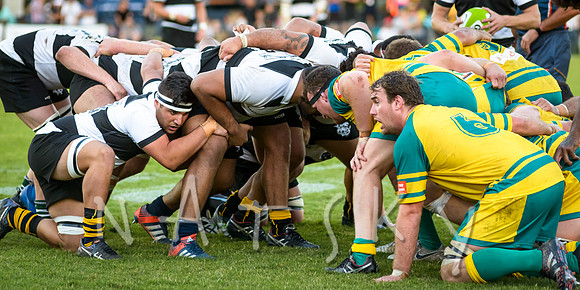 rugby 263