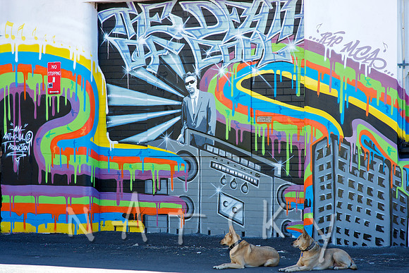 LISMORE STREET PHOTOGRAPHER