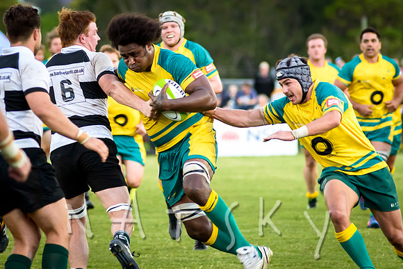 rugby 288