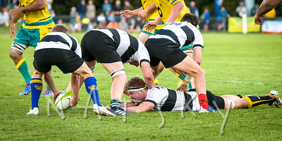 rugby 276