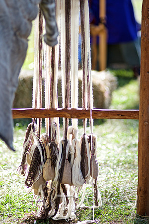 2015 VIKINGS  037