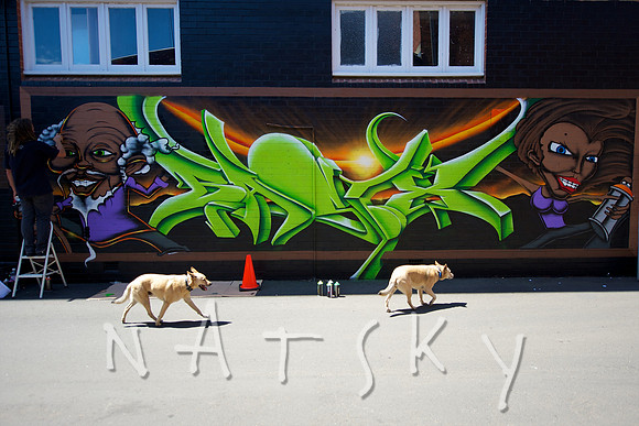 Lismore Street Photographer