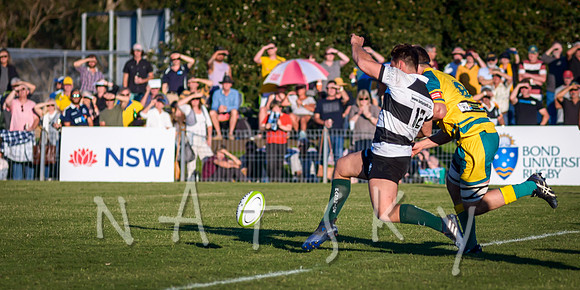 rugby 185