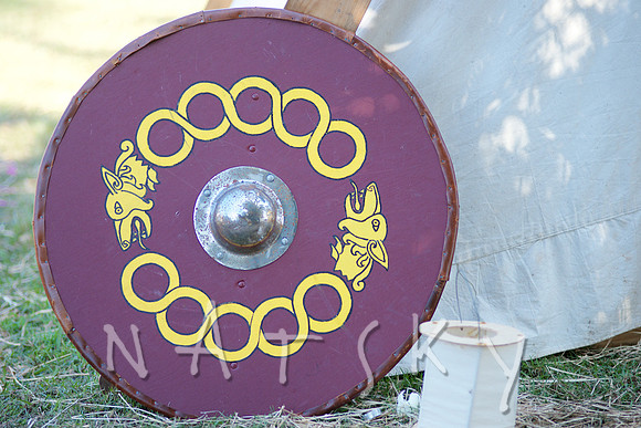 2015 VIKINGS  010