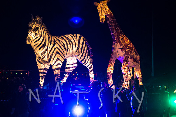 LANTERN PARADE 185