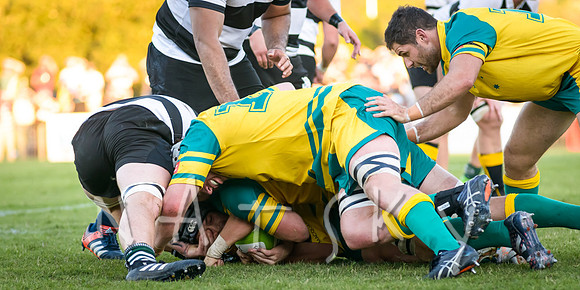 rugby 241