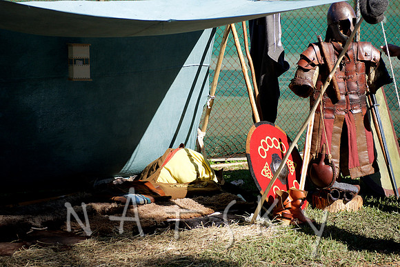 2015 VIKINGS  027