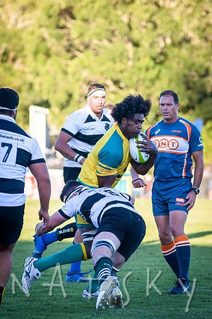 rugby 196