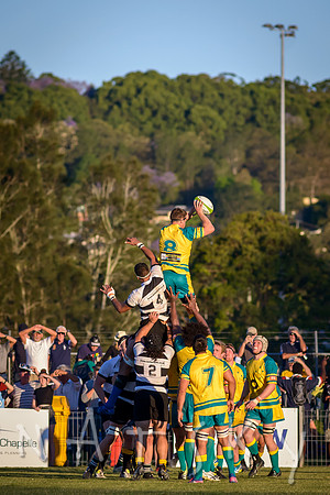 rugby 213