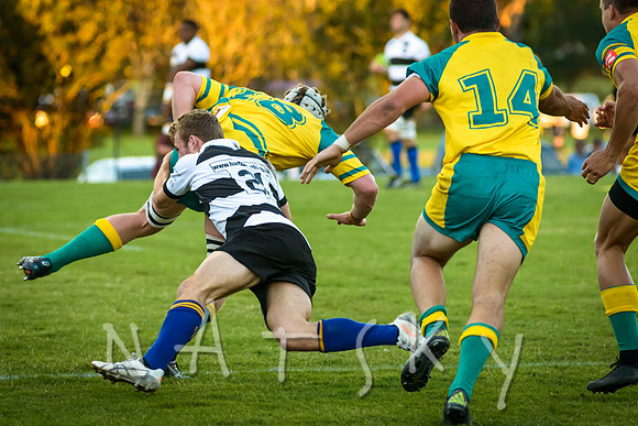 rugby 252
