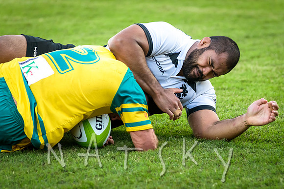 rugby 260