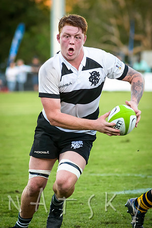 rugby 266