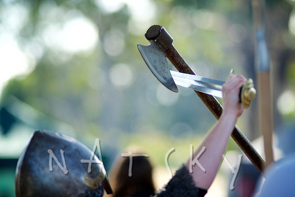 2015 VIKINGS  051
