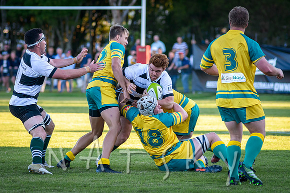 rugby 186