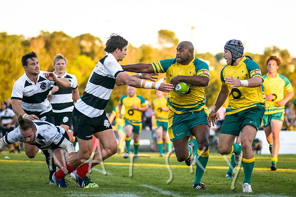 rugby 233