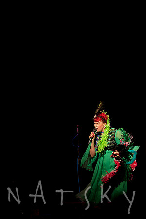 Lismore Music Photographer