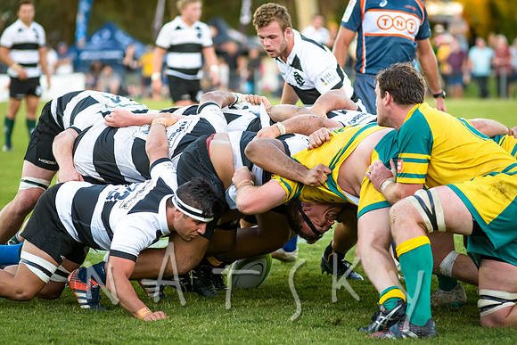 rugby 265