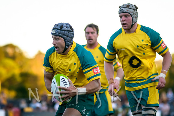 rugby 239