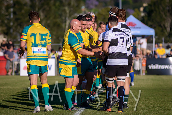 rugby 099