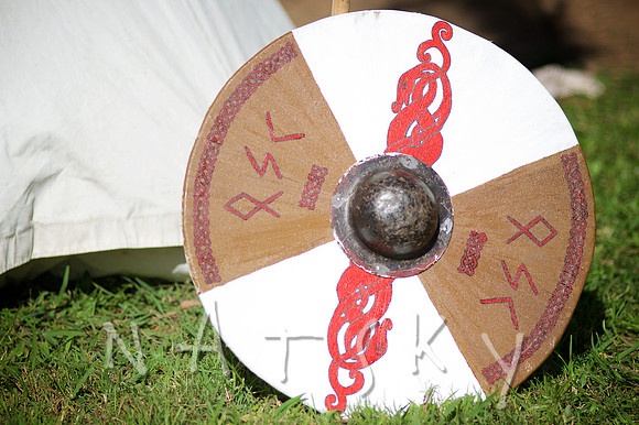 2015 VIKINGS  011