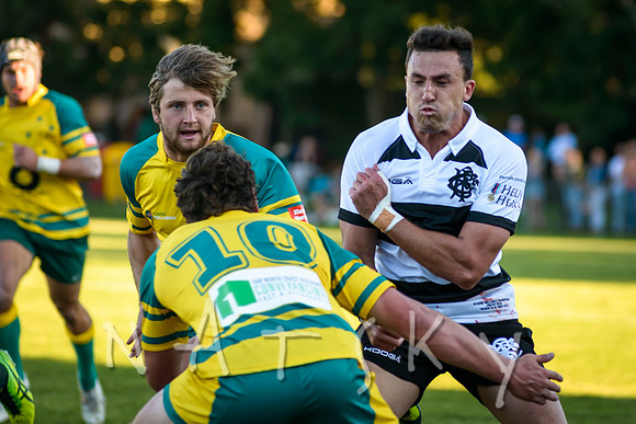 rugby 175