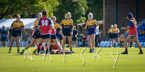 rugby 022