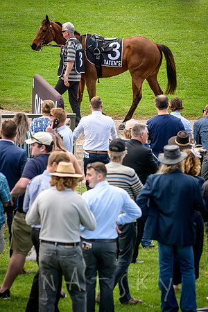 RACES 037