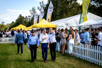 RACES 007