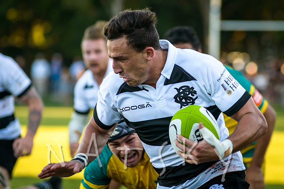 rugby 176