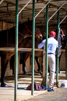 RACES 002