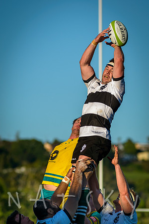 rugby 158