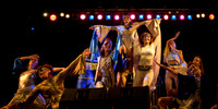 mullum music festival 006