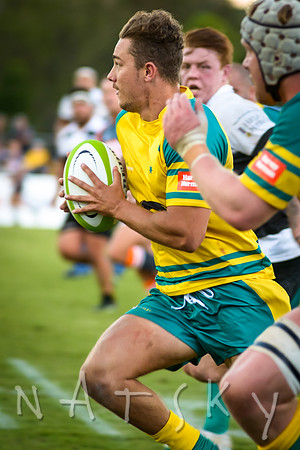 rugby 277