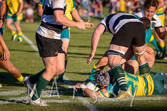 rugby 172