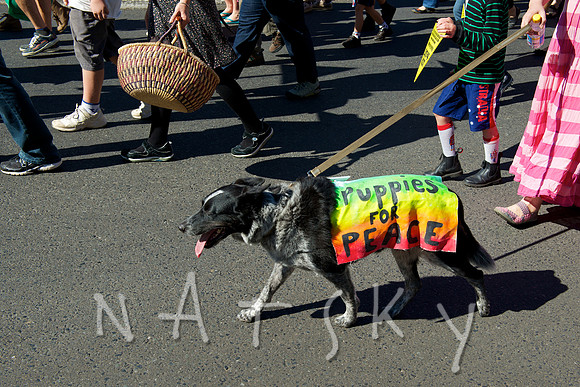 lismore CSG RALLY  011