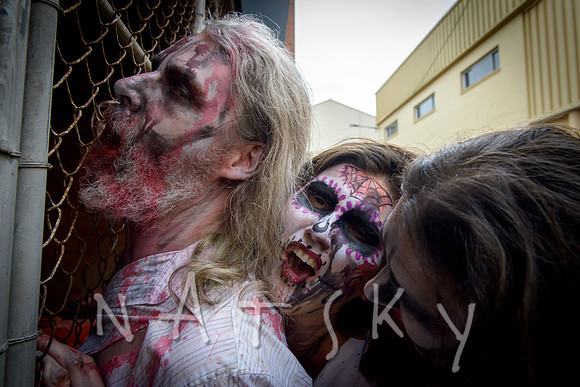 zombies 046