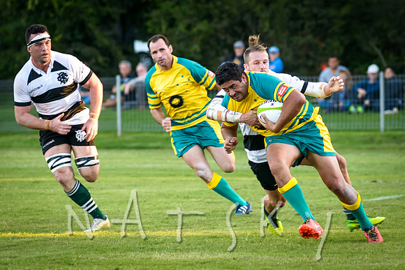 rugby 217